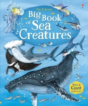 Big Book of Sea Creatures - Lacey Minna