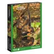 Puzzle National Geographic Chimpanzee 1000 elementów (39301)