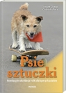 Psie sztuczki Rewelacyjne akrobacje i triki dla bystrych psiaków Doepp Simone, Metz Gabriele