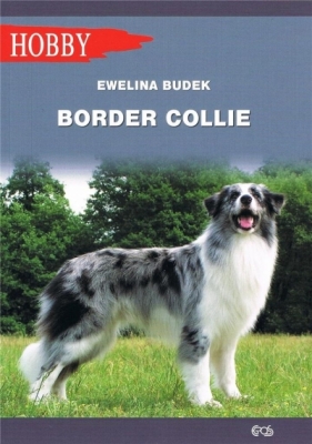 Border Collie (wyd. 2020) - Budek Ewelina