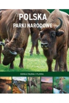 Polska. Parki narodowe - Panek Marcin 