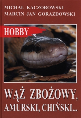 Wąż zbożowy, amurski, chiński? - Kaczorowski Michał, Gorazdowski Marcin Jan
