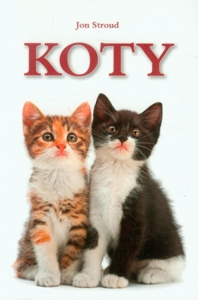 Koty - Stroud Jon