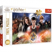 Trefl, Puzzle 300: Tajemniczy Harry Potter (23001)