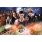 Trefl, Puzzle 300: Tajemniczy Harry Potter (23001)