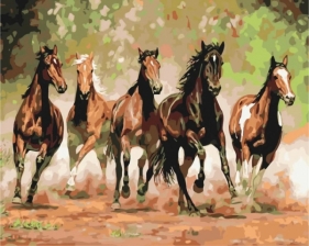 Obraz Malowanie po numerach - Stado koni (BS8288)
