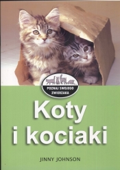 Koty i kociaki