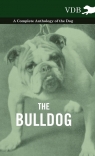 The Bulldog - A Complete Anthology of the Dog - Various