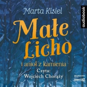 Małe Licho i anioł z kamienia - Marta Kisiel