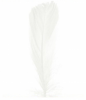 Piórka w torebce foliowej 15g - białe