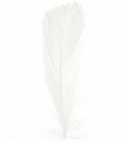 Piórka w torebce foliowej 15g - białe