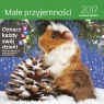 Kalendarz 2017 Małe przyjemności limited edition