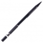 Ołówek automatyczny Pentel 0,5 mm (A125)