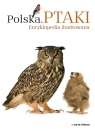 Polska Ptaki Encyklopedia ilustrowana Radziszewski Michał