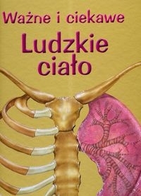 Ważne i ciekawe Ludzkie ciało