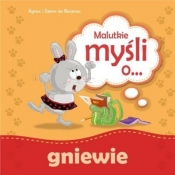 Malutkie myśli o gniewie - Salem de Bezenac