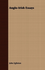Anglo-Irish Essays