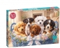 Puzzle 300 CherryPazzi Sweet Five 10020