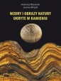 Wzory i obrazy natury ukryte w kamieniu - Andrzej Manecki, Janina Wrzak