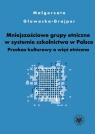 Mniejszościowe grupy etniczne wobec polskiego systemu oświaty. Przekaz Głowacka-Grajper Małgorzata