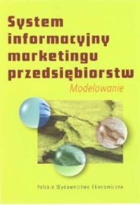 System informacyjny marketingu przedsiębiorstw