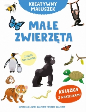 Kreatywny maluszek. Małe zwierzęta - Hubert Grajczak, Agata Grajczak