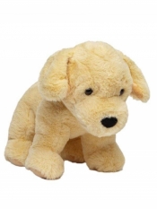 Pies Golden retriever 30 cm