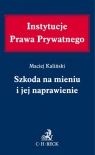 Szkoda na mieniu i jej naprawienie Kaliński Maciej