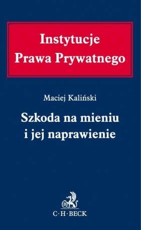 Szkoda na mieniu i jej naprawienie - Maciej Kaliński