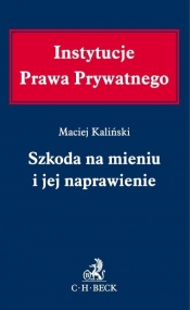 Szkoda na mieniu i jej naprawienie - Maciej Kaliński