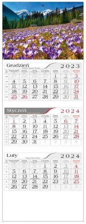 Kalendarz 2024 Trójdzielny Krokusy