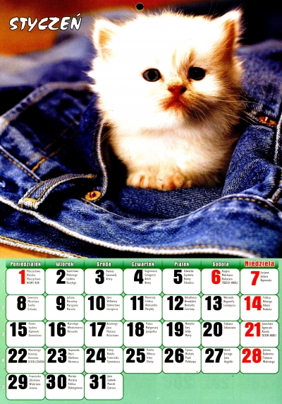 Kalendarz ścienny Koty 2018