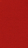 Kalendarz 2011 książkowy Active bologna czerwony