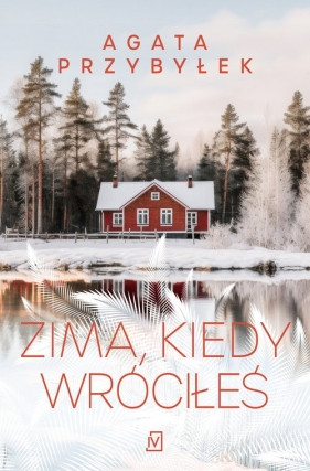 Zima, kiedy wróciłeś - Agata Przybyłek