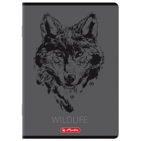 Zeszyt Herlitz A5/80k kratka z marginesem, 1 szt