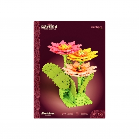 Mini Waffle Garden - Gerbera
