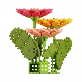 Mini Waffle Garden - Gerbera