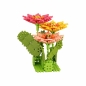 Mini Waffle Garden - Gerbera