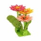 Mini Waffle Garden - Gerbera