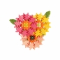 Mini Waffle Garden - Gerbera