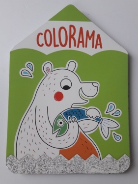 Colorama Niedźwiadek