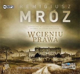 W cieniu prawa - Remigiusz Mróz