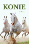 Konie  Stroud Jon