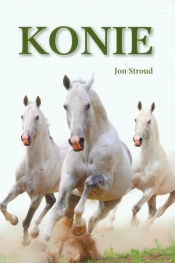 Konie