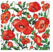 Serwetki Mak 33x33cm 20szt