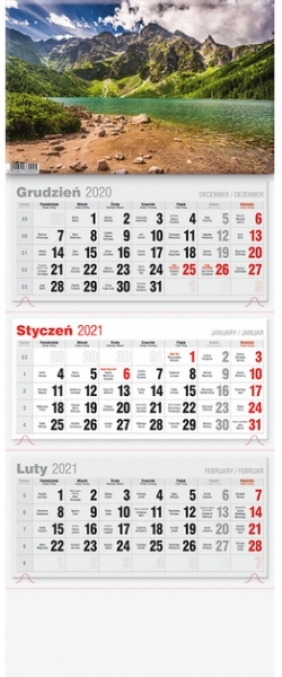 Kalendarz 2021 Trójdzielny LUX - Praca zbiorowa