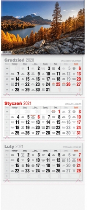 Kalendarz 2021 Trójdzielny LUX - Opracowanie zbiorowe