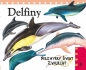 Delfiny. Niezwykły świat zwierząt - Opracowanie zbiorowe