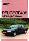 Peugeot 405 silniki gaźnikowe