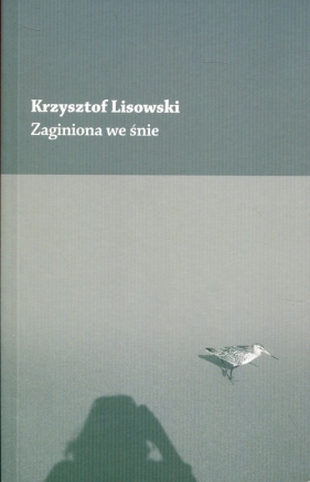 Zaginiona we śnie - Lisowski Krzysztof